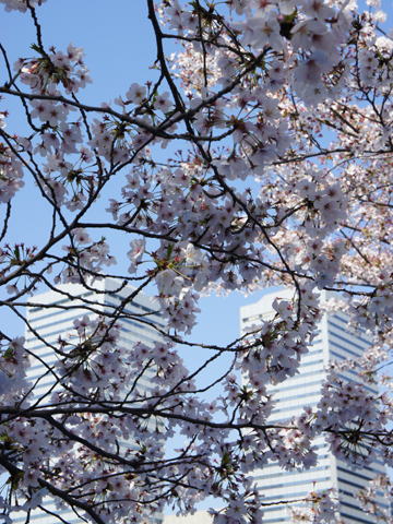 TWIN 21_spring